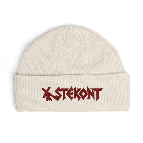 EMBROIDERED GRAPHIC LOGO BEANIE